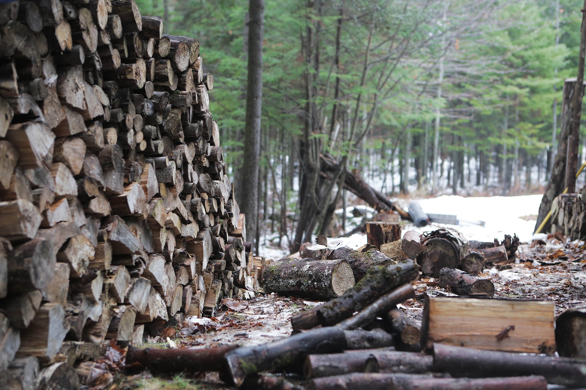 lumber logs